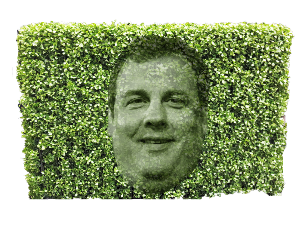 Christie hedge
